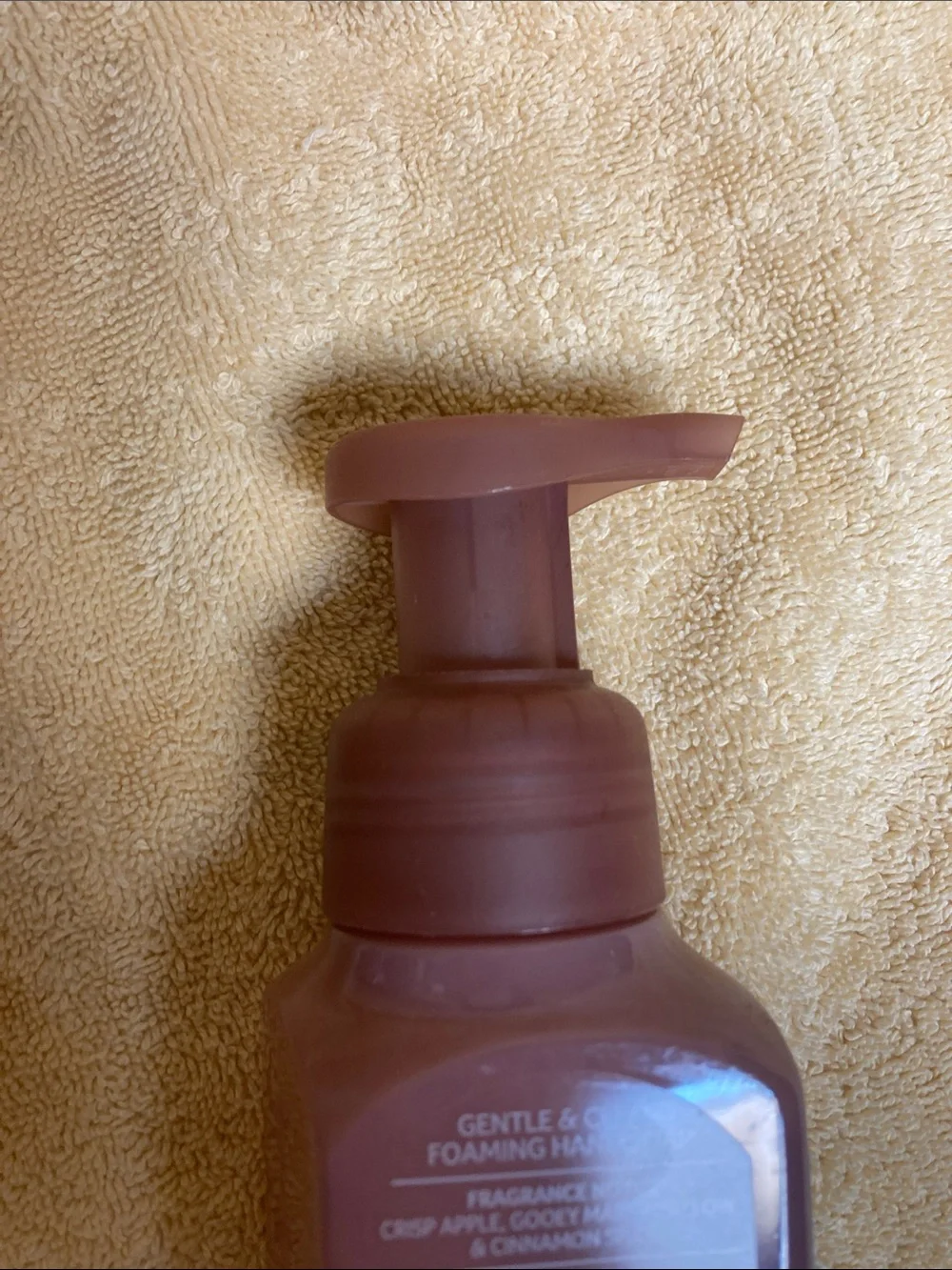 Bath & Body Works Autumn S'mores Foaming Hand Soap - Dusty Rose Bottle